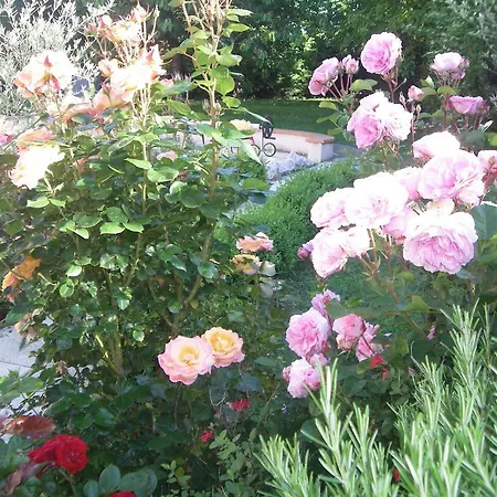 Bed and Breakfast L'escale De La Pradelle Montgiscard