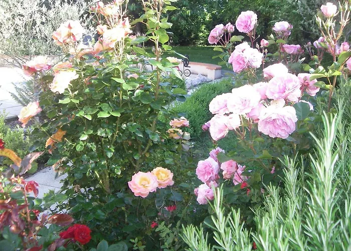 Frühstückspension L'escale De La Pradelle Montgiscard