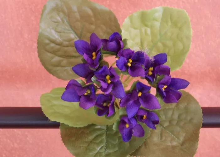 L'escale De La Pradelle * Montgiscard