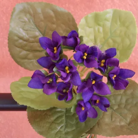 L'escale De La Pradelle * Montgiscard