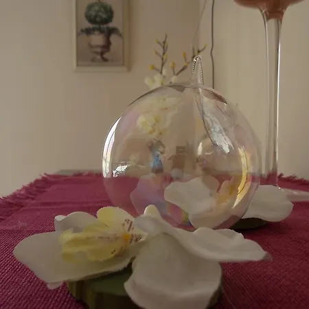 L'escale De La Pradelle * Montgiscard